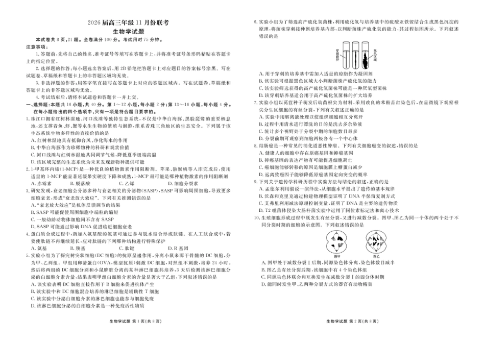 高三生物电子文件 高三生物正文（2026届高三年级11月份联考）.pdf_第1页