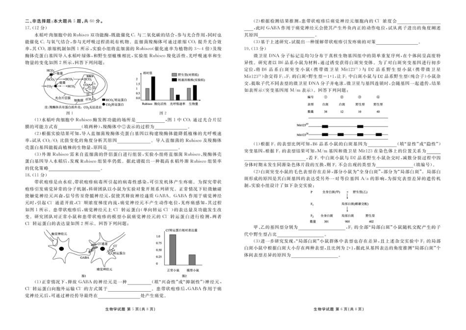 高三生物电子文件 高三生物正文（2026届高三年级11月份联考）.pdf_第3页