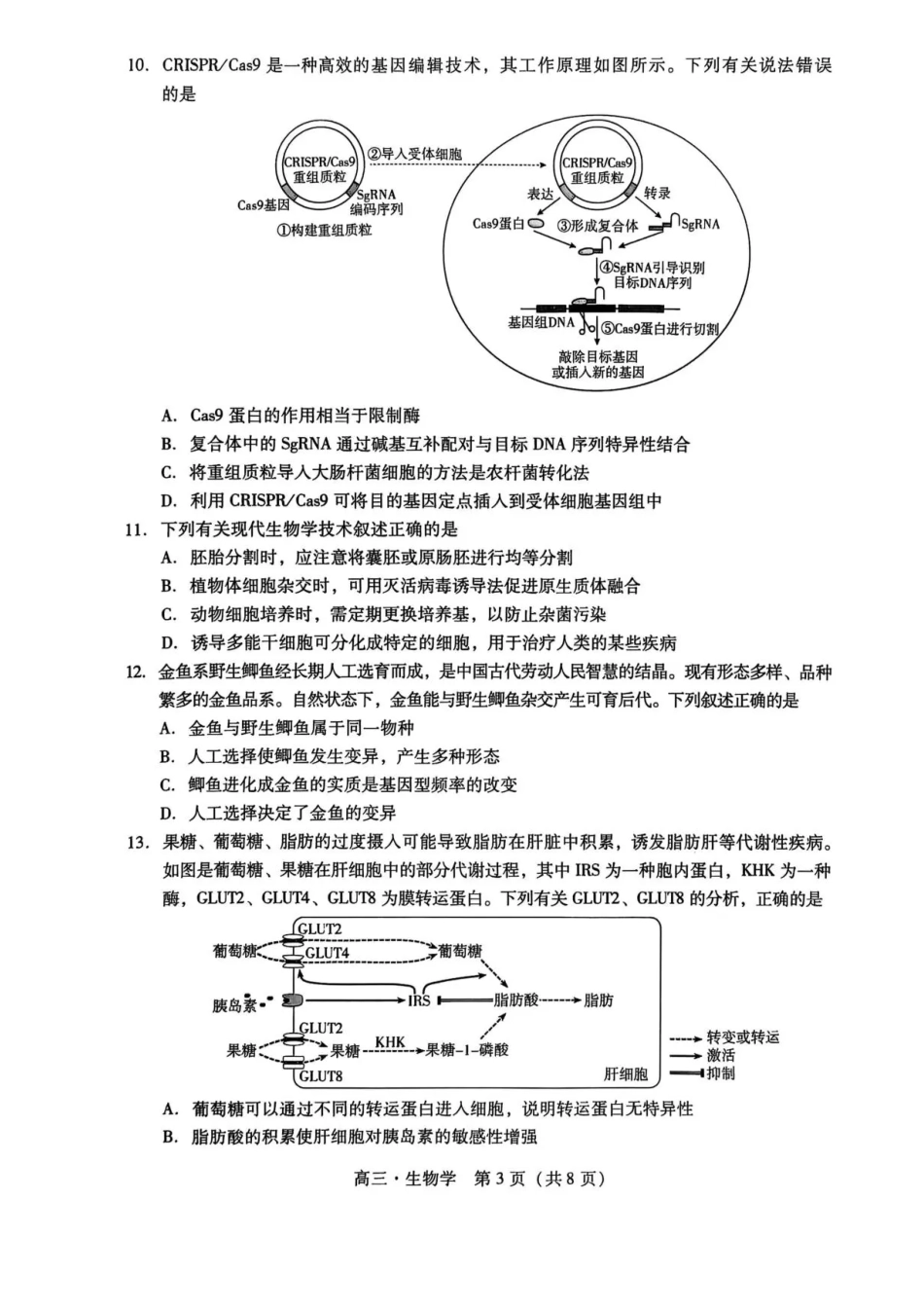 广东汕尾2026届高三上学期综合测试（一）生物试题+答案.pdf_第3页