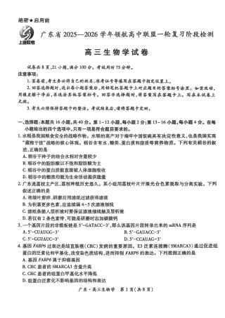 广东上进联考2025-2026学年领航高中联盟2026届高三10月一轮复习阶段检测生物_广东高三10月上进联考生物试卷.pdf