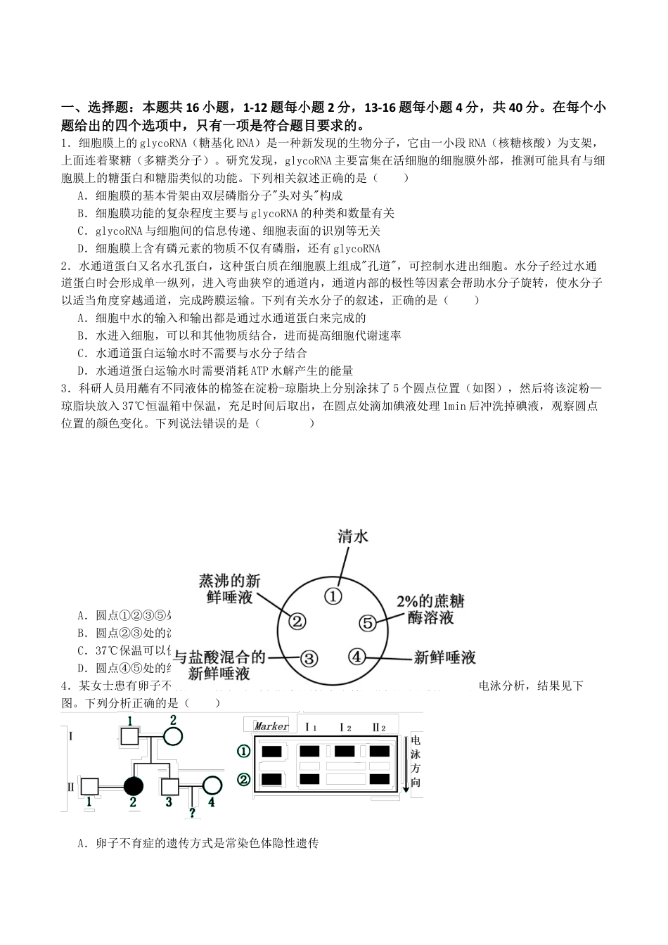 广东省惠州市实验中学2025-2026学年高三上学期12月阶段性检测生物试题.docx_第1页
