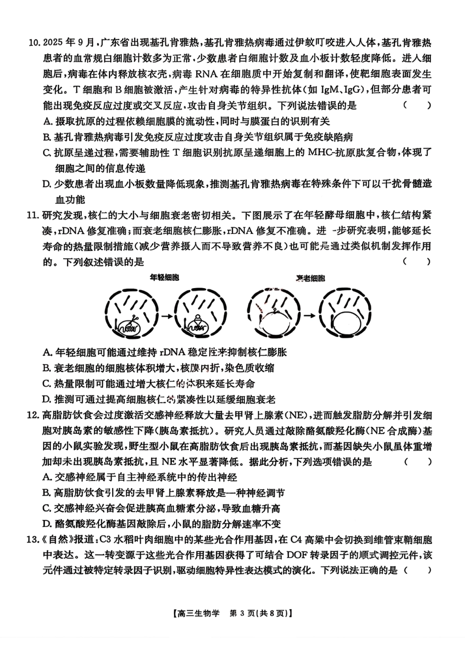 广东省金太阳2026届高三上学期11月联考 （全科）_生物试卷(26-118C) .pdf_第3页