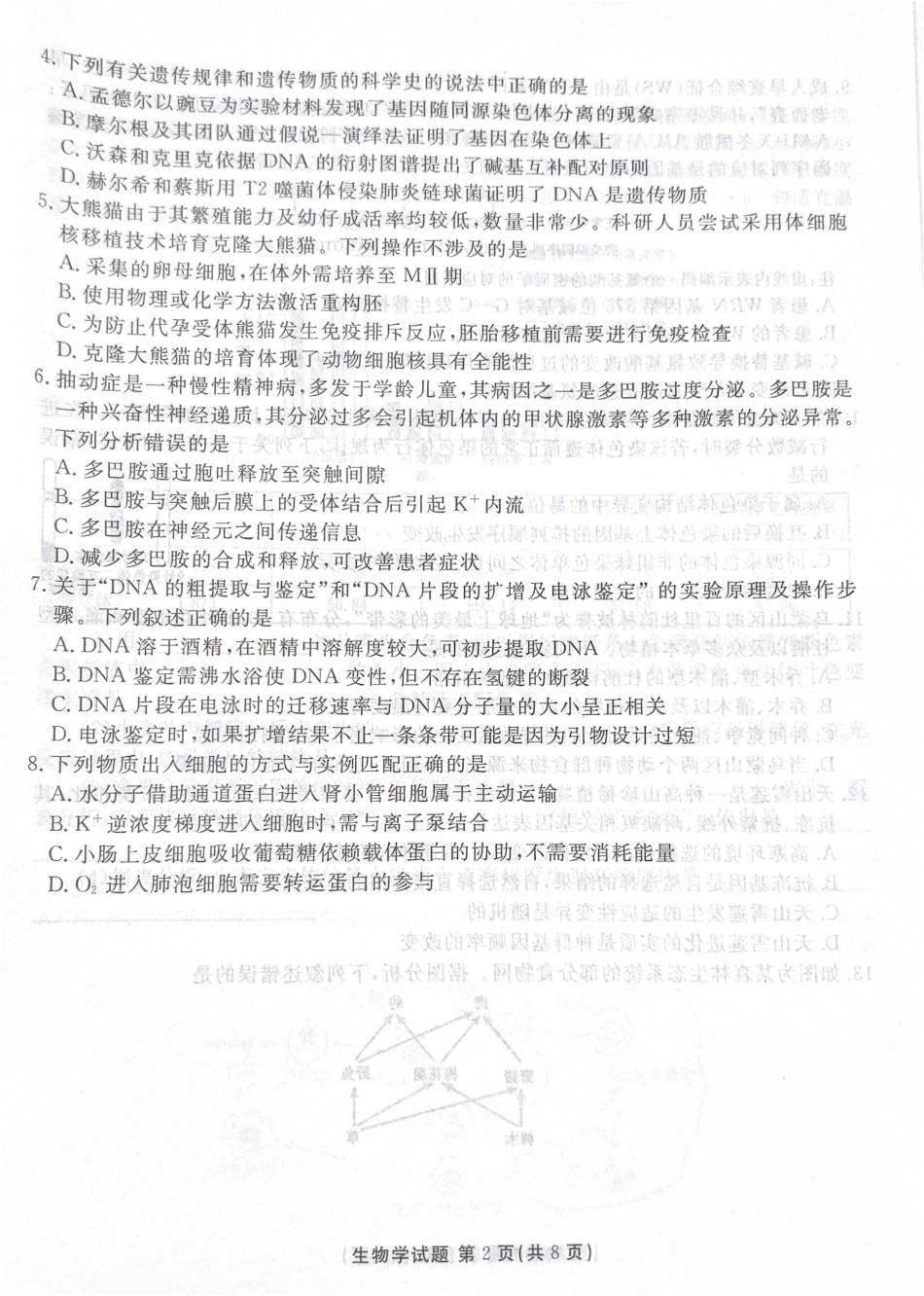 广东省湛江市2025—2026学年高三上学期第一次调研考试生物试题.pdf_第2页