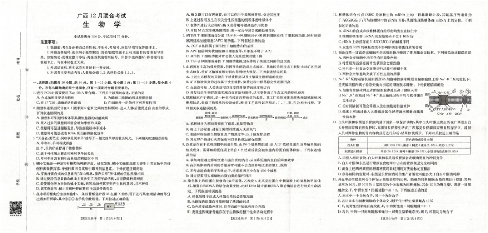 广西省2025届高三上学期12月联考（26-182C）生物.pdf_第1页
