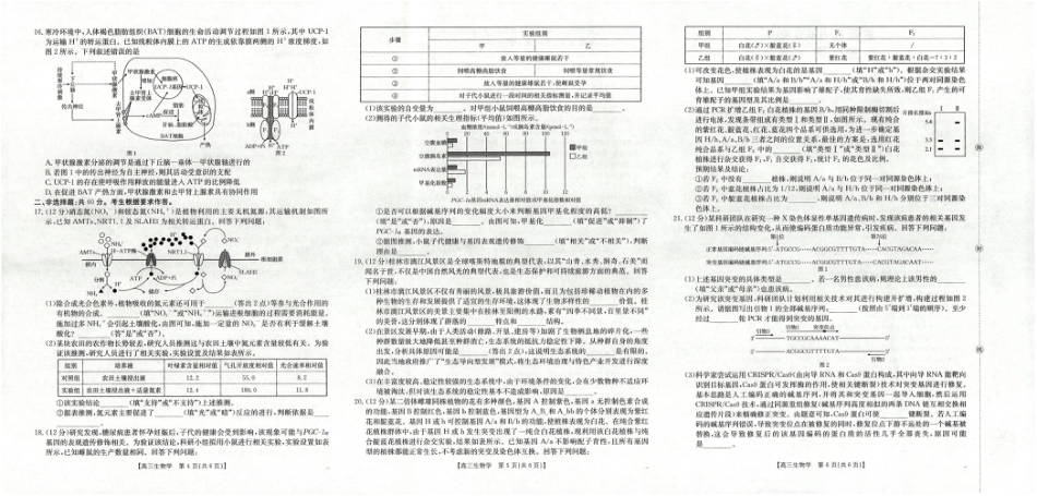 广西省2025届高三上学期12月联考（26-182C）生物.pdf_第2页
