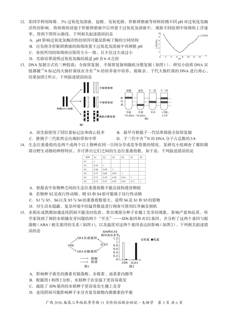 广西邕衡2025年11月高三联考生物 邕衡2025年11月高三联考生物试卷.pdf_第3页