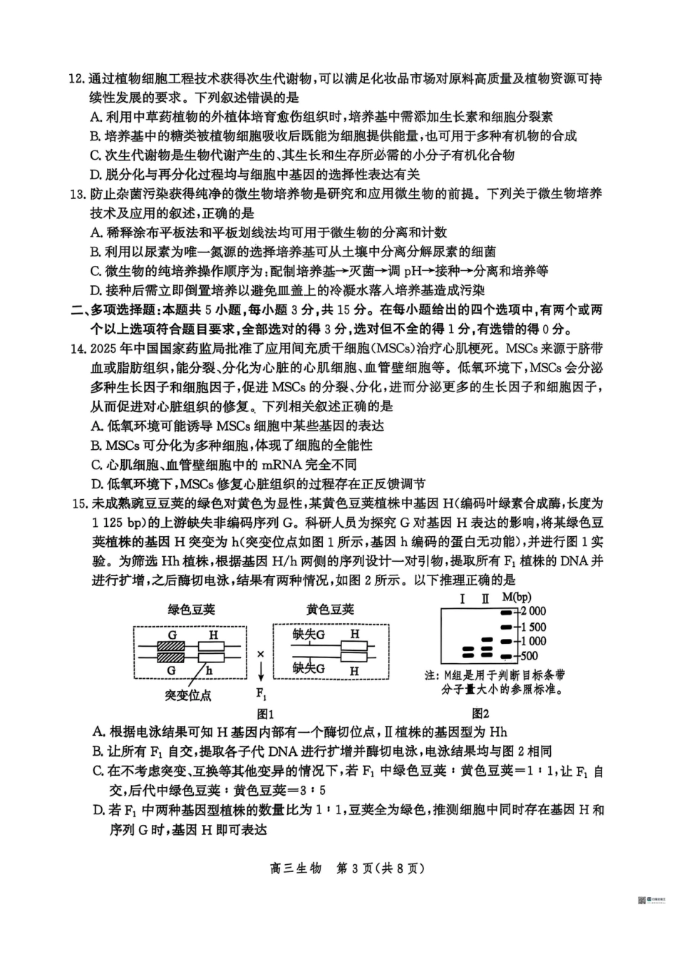 河北省2026届沧州市高三上学期12月教学质量监测生物试题+答案.pdf_第3页