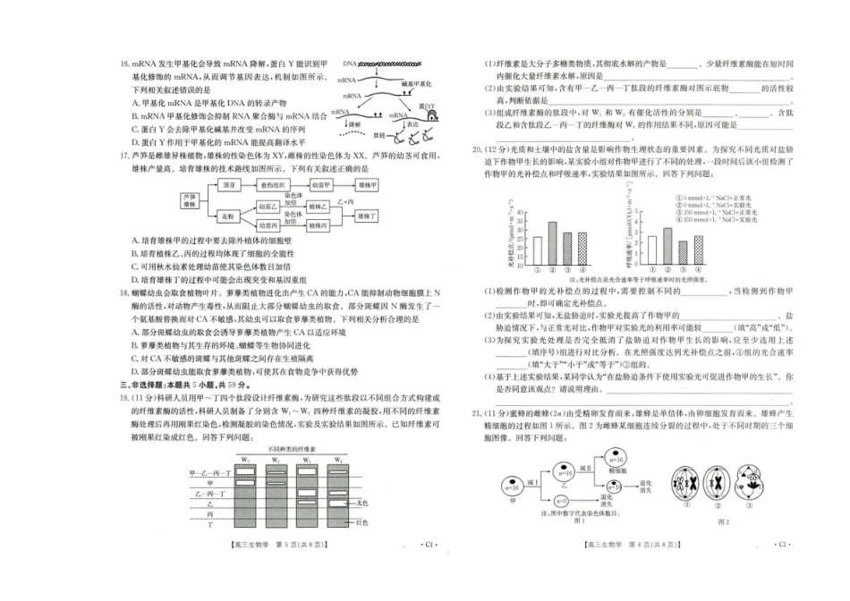 河北省2026届高三年级十月份联考（26-75C）生物.pdf_第3页