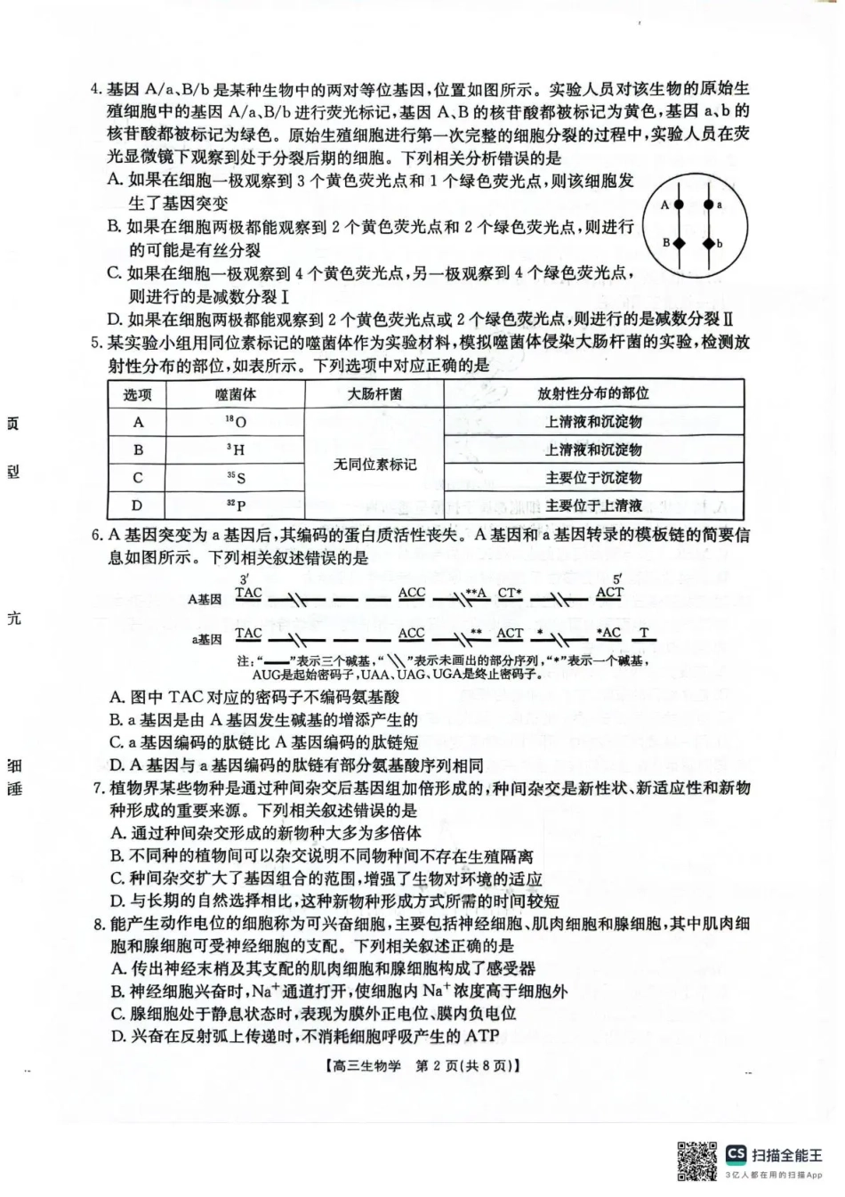 河北省2026届高三上学期12月联考（26-150C）生物.pdf_第2页
