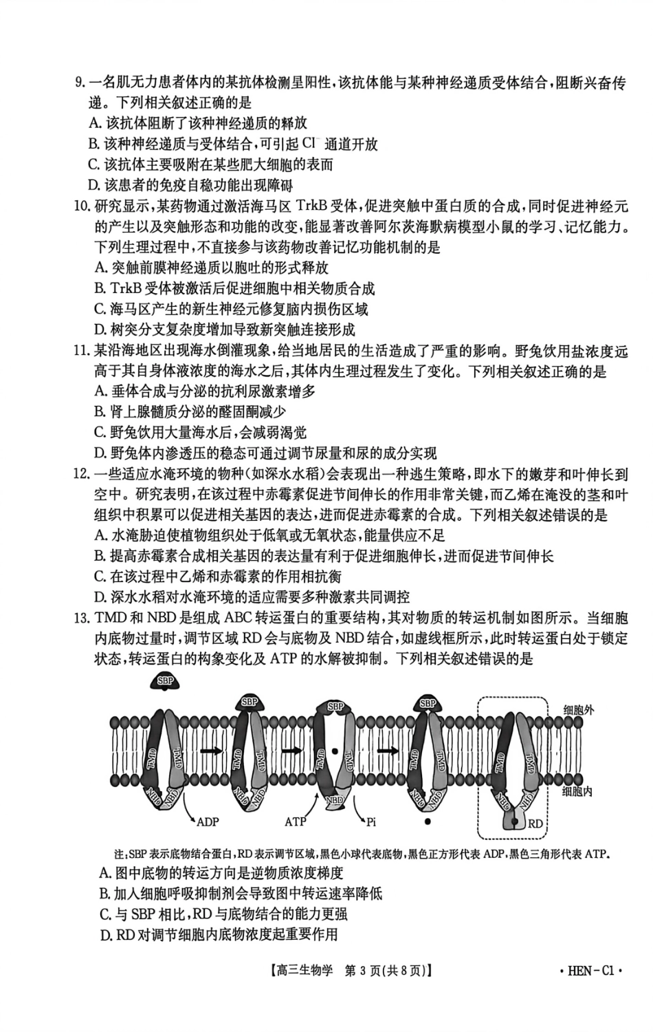 河南省2026届高三上学期11月联考（HEN）生物.pdf_第3页