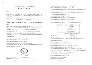 河南省百师联盟2026届高三年级11月阶段检测生物.pdf