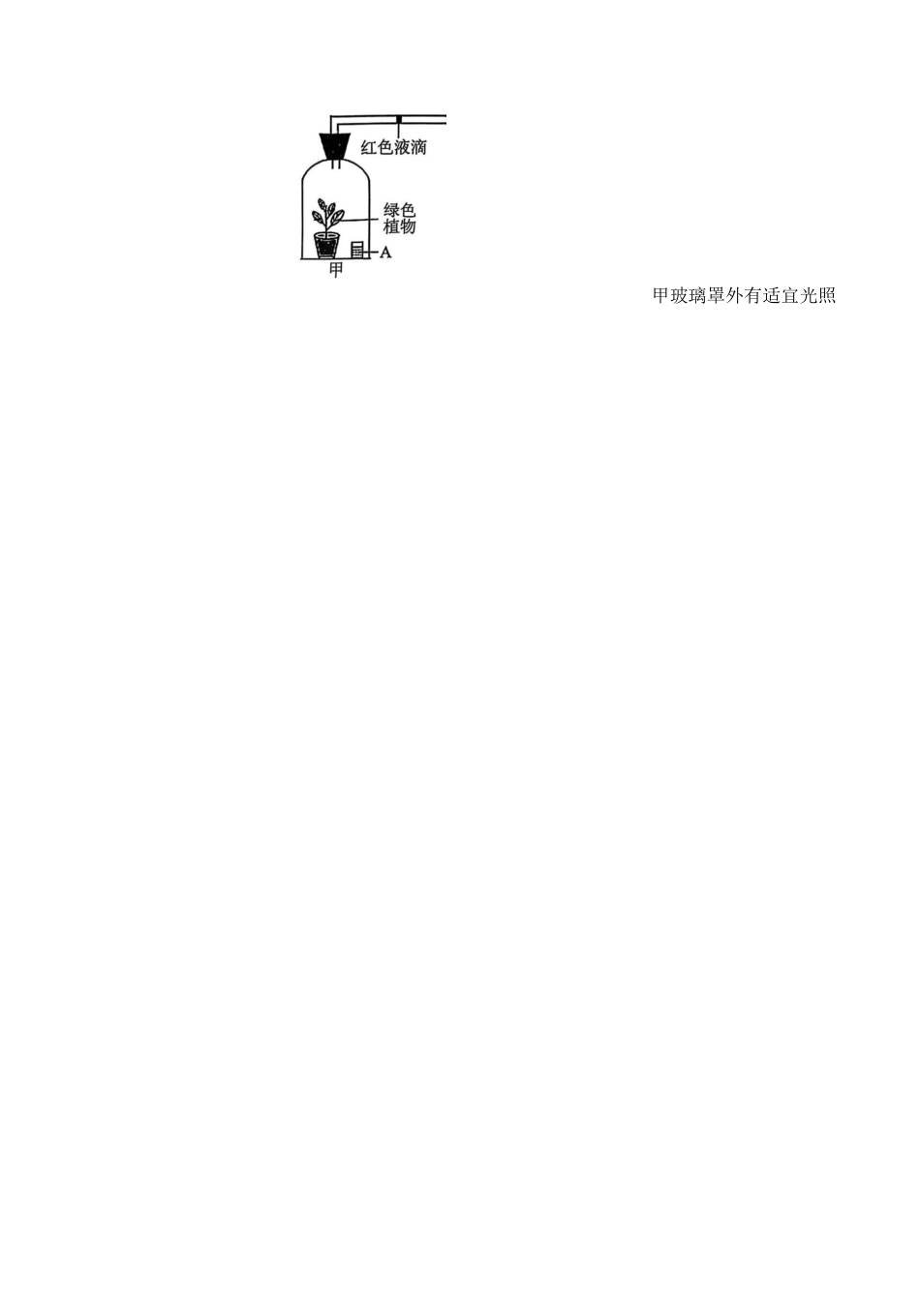 河南省新未来大联考2026届高三上学期11月联合测评 生物试题（含答案）_生物.docx_第3页