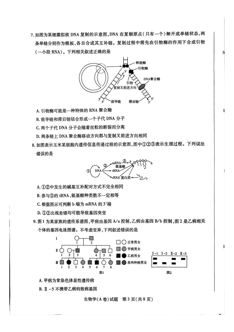 河南省周口市重点高中2025-2026学年高三上学期11月期中生物试题.pdf_第3页