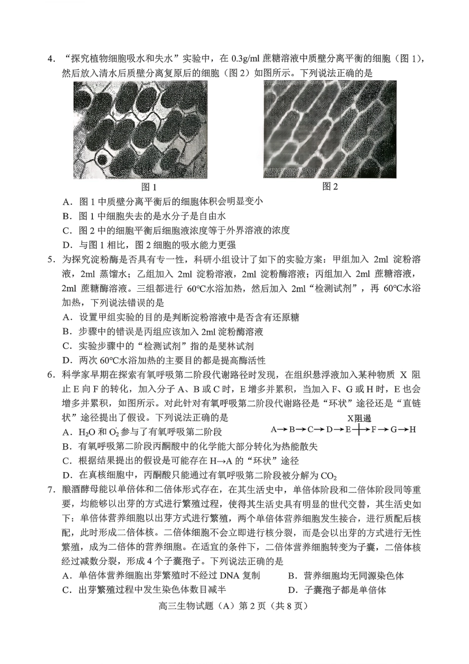 菏泽市A类高中2026届高三第一学期期中考试生物.pdf_第2页