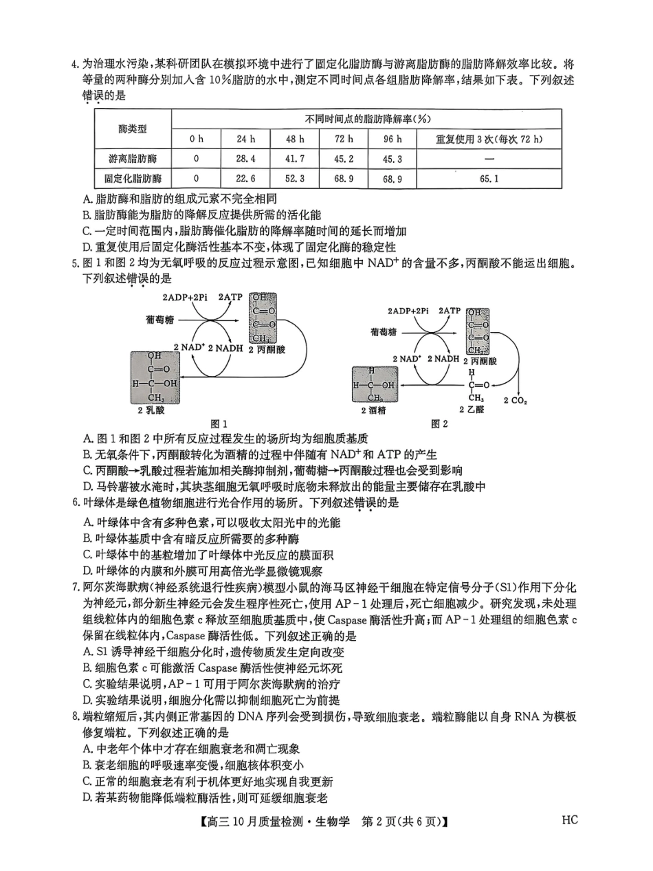 黑龙江省九师联盟2025-2026学年高三上学期10月月考生物试题【附答案】.pdf_第2页