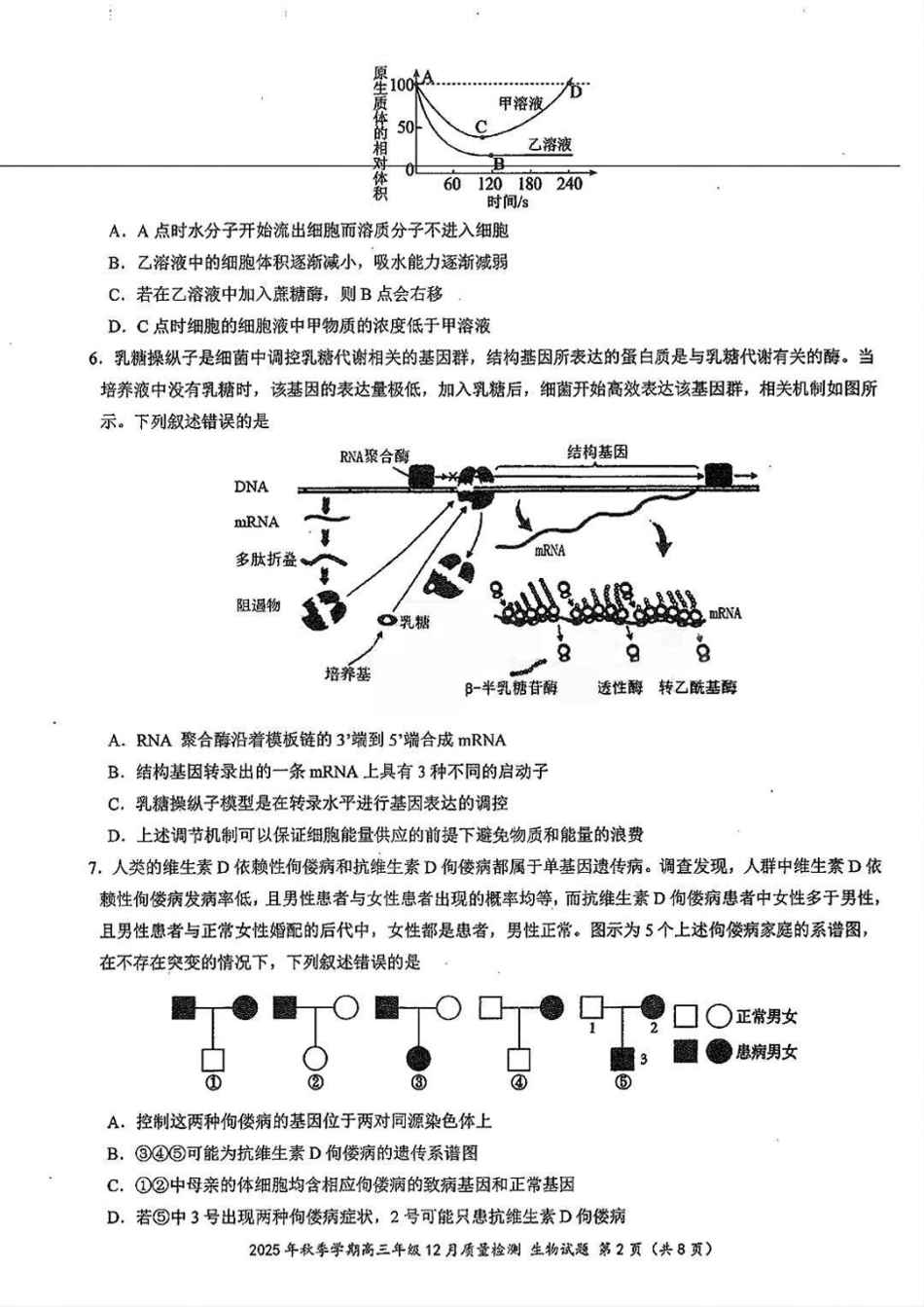 湖北省十一校2025-2026学年高三上学期12月质量检测生物_十一校生物试卷.pdf_第2页