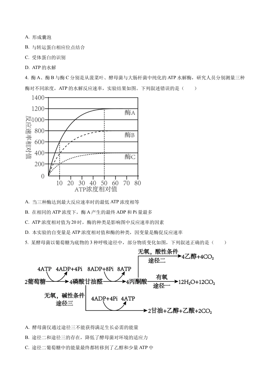 湖南省衡阳市雁峰区衡阳市第八中学2025-2026学年高三上学期11月期中生物试题（原卷版）.docx_第2页