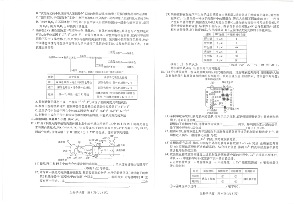 湖南省湘一名校联盟2026届高三上学期12月质量检测（二模）生物.pdf_第3页