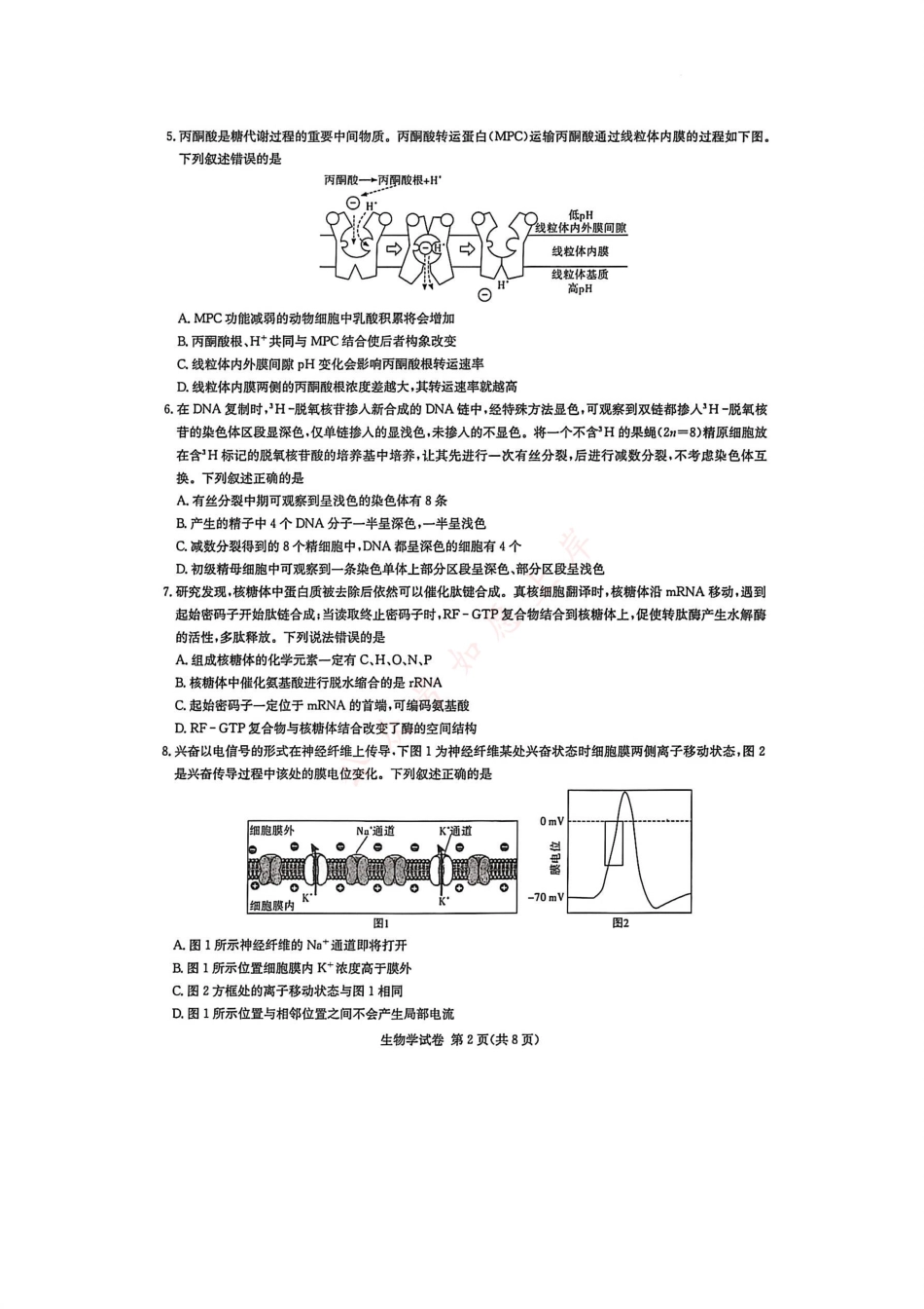 湖南省新高考教学教研联盟2026届高三年级12月联考（长郡二十校联盟）生物.pdf_第2页