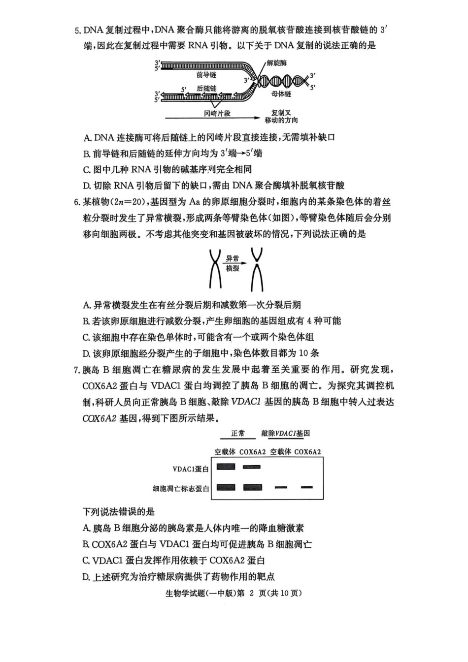 湖南省长沙市第一中学2025-2026学年高三上学期月考（二）生物试题（扫描版，有解析）_一中月考二.pdf_第2页
