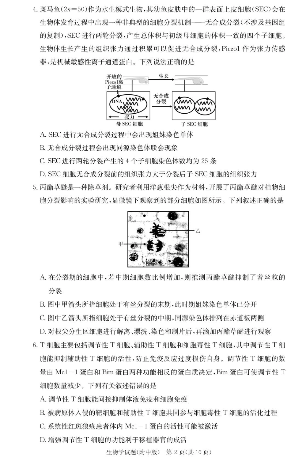 湖南省长沙市湖南师范大学附属中学2025-2026学年高三上学期月考卷（三）生物_生物试卷（附中高三3次）.pdf_第2页