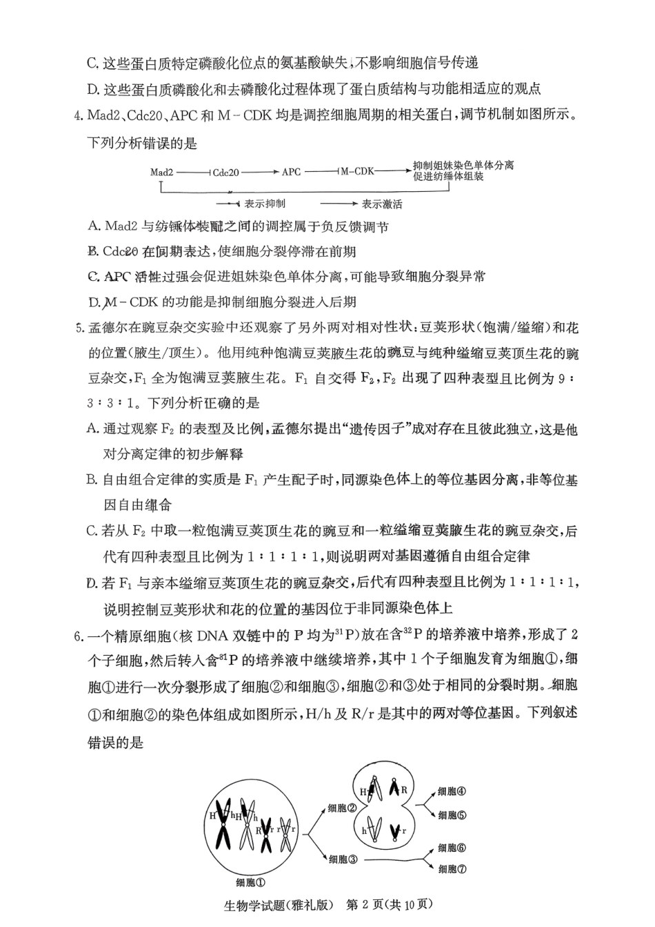湖南省长沙市雅礼中学2025-2026学年高三上学期11月月考生物试题.pdf_第2页