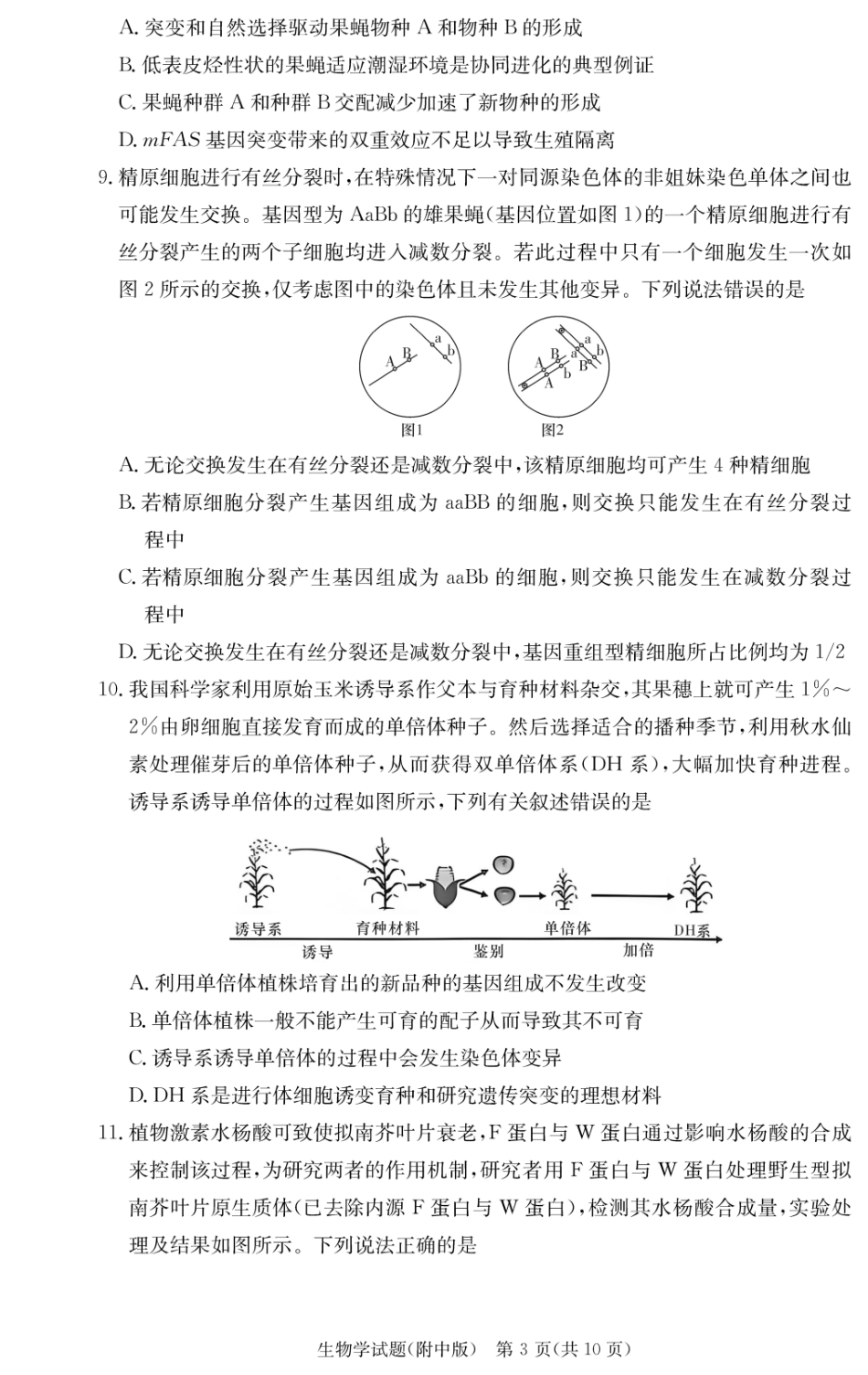 湖南师大附中2026届高三月考试卷（四）生物.pdf_第3页