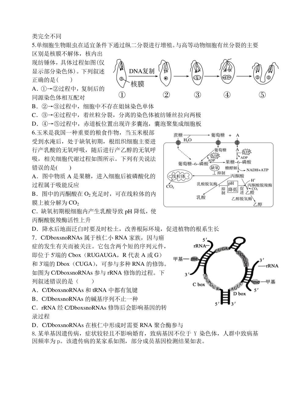 吉林省长春市东北师大附中2026届高三第二次摸底考试（全科）_东师附中26届二模生物.pdf_第2页