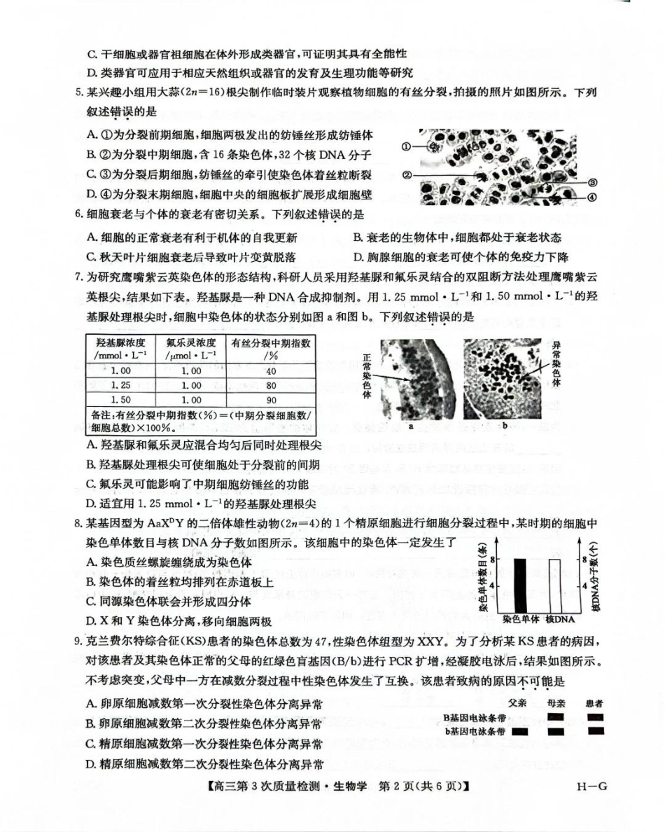 九师联盟2026届高三上学期11月联考生物(H-G).pdf_第2页