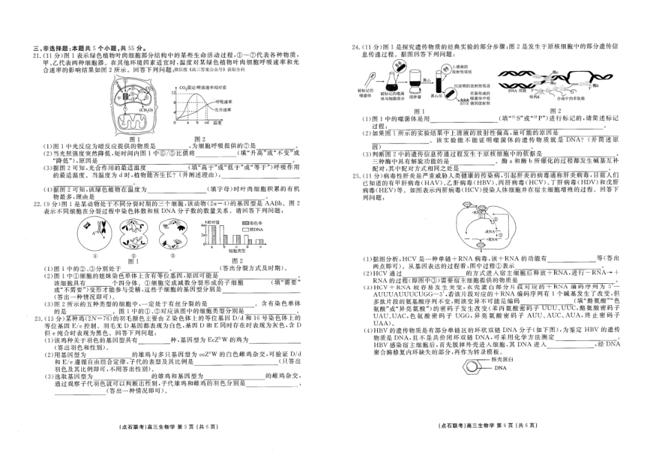 辽宁点石联考2025-2026学年高三上学期11月期中生物试题.pdf_第3页