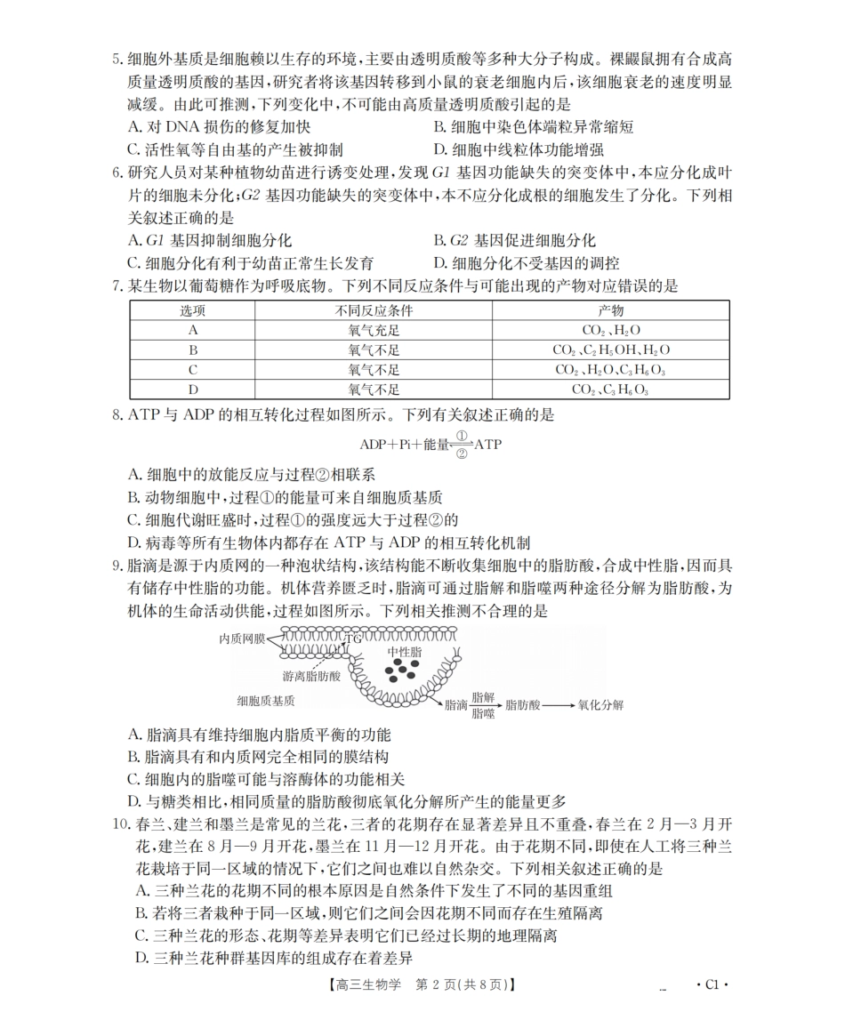 辽宁省2026届高三上学期12月联考（26-162C）生物.pdf_第2页
