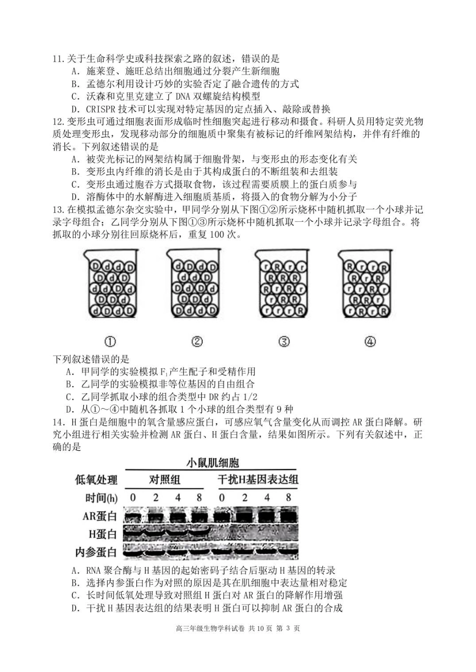 龙东高三生物学12月模拟试卷成稿.pdf_第3页