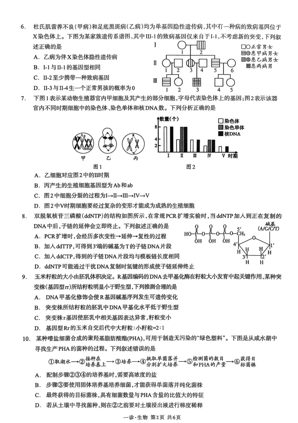 泸州市高2023级第一次教学质量诊断性考试生物学.pdf_第2页