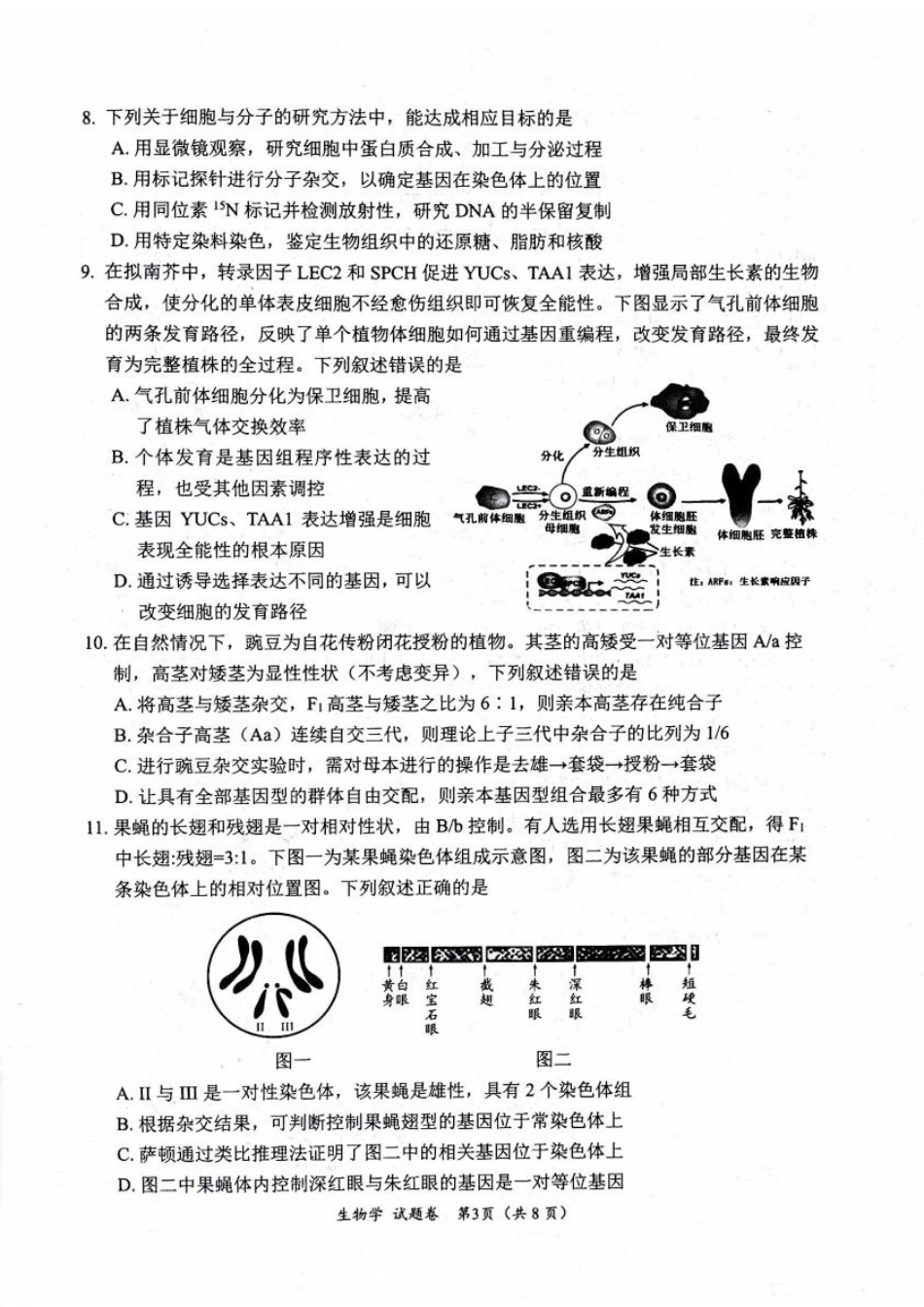 绵阳市高中2023级第一次诊断性考试生物（其他地区B卷）.pdf_第3页