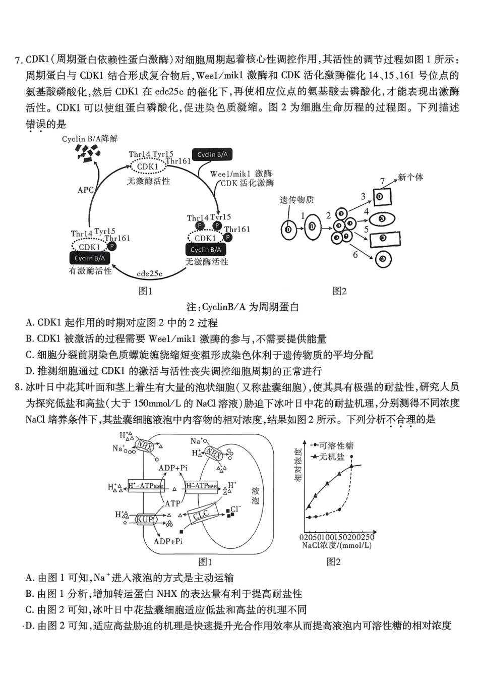 南开中学高2026届高三第三次质量检测生物.pdf_第3页