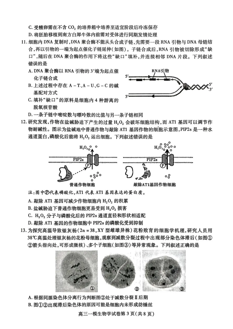 内江市高中2026届第一次模拟考试题生物.pdf_第3页