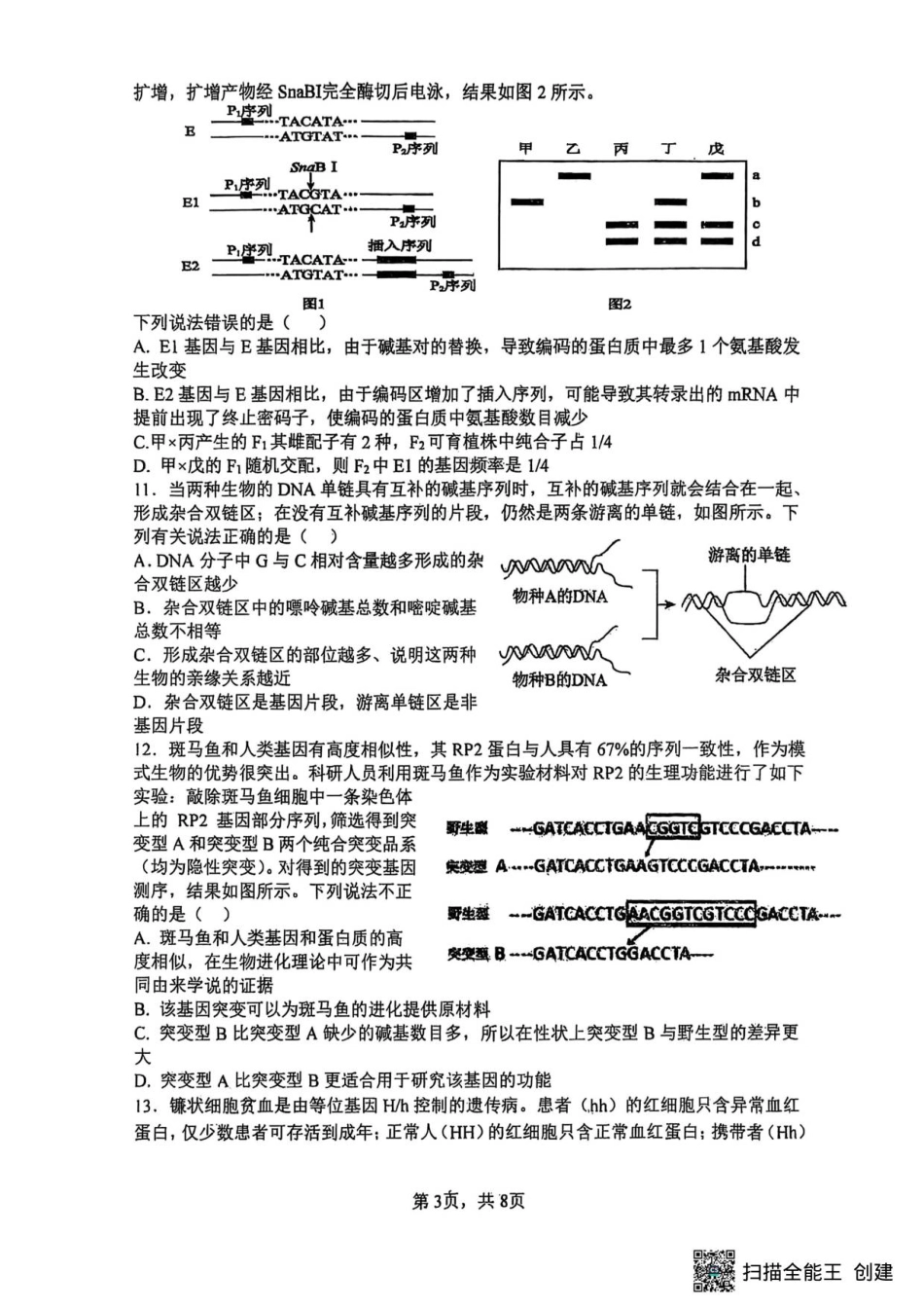 山大附中2025-2026学年第一学期高三生物月考试题.pdf_第3页