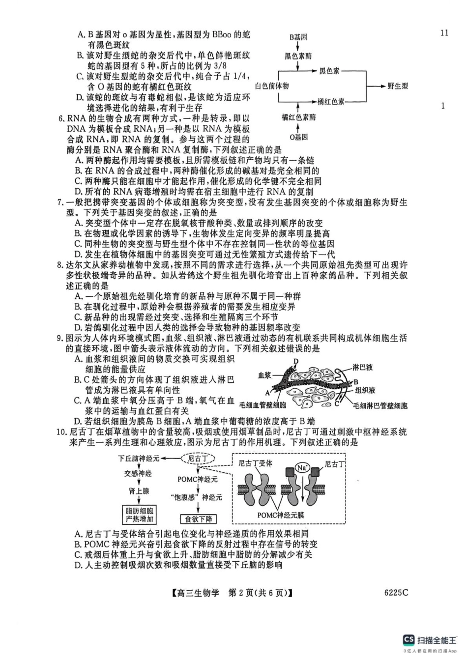 山东省大联考2025-2026学年高三上学期12月月考生物试题.pdf_第2页