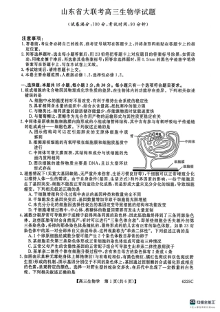 山东省大联考2025-2026学年高三上学期12月月考生物试题.pdf