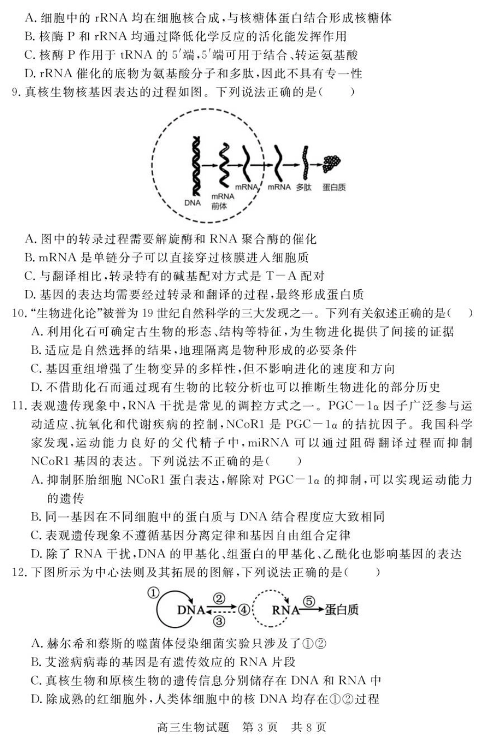 山东省济宁市兖州区2025-2026学年高三上学期期中生物试题.pdf_第3页