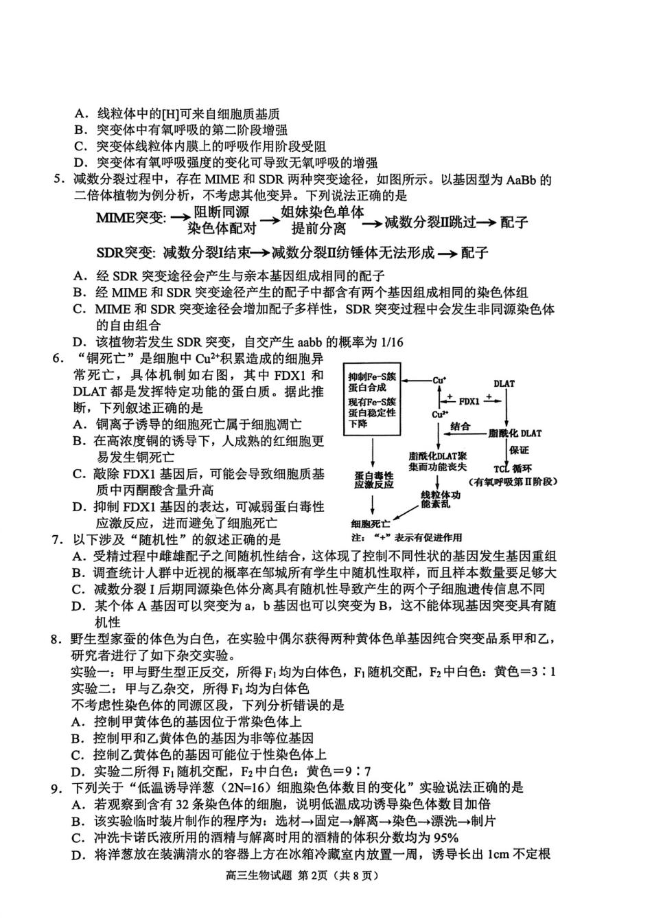 山东省聊城市2025-2026学年度第一学期期中教学质量检测（全科）_生物试卷.pdf_第2页