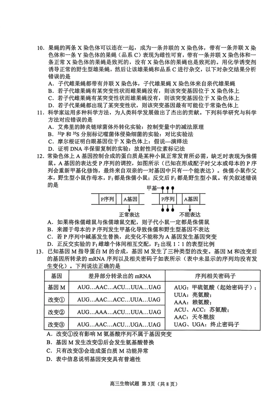 山东省聊城市2025-2026学年度第一学期期中教学质量检测（全科）_生物试卷.pdf_第3页