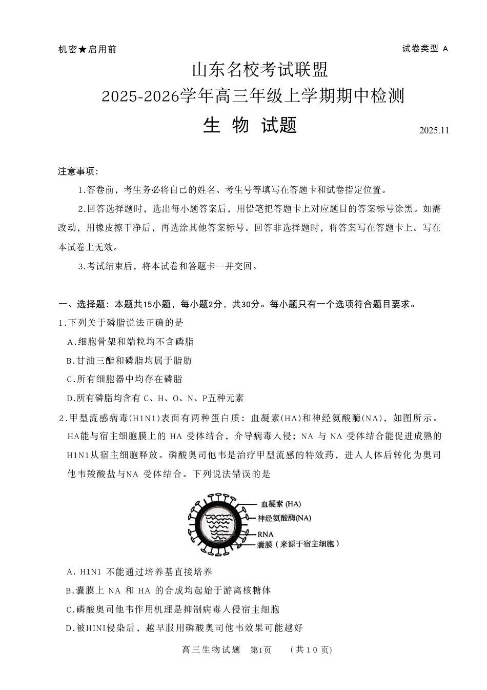 山东省名校联盟2025-2026学年高三上学期11月期中考试 生物试题.pdf_第1页
