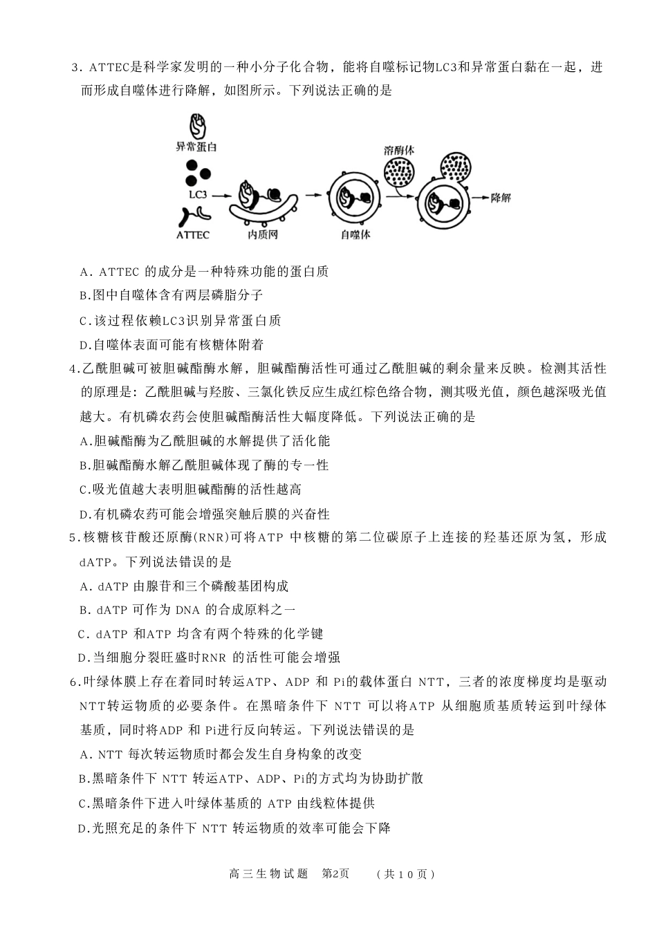 山东省名校联盟2025-2026学年高三上学期11月期中考试 生物试题.pdf_第2页