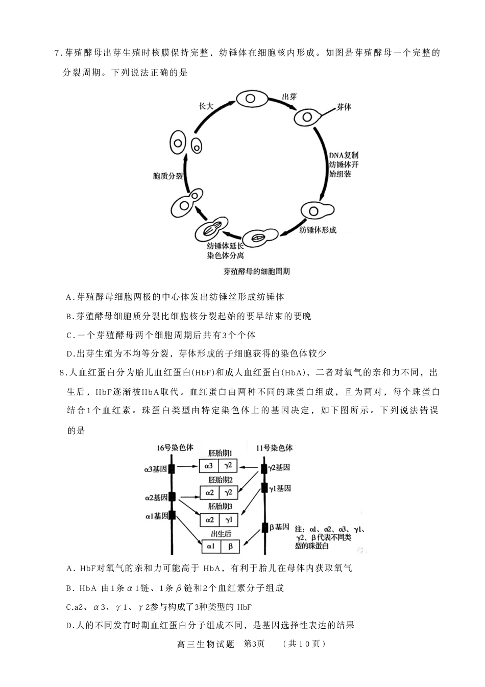 山东省名校联盟2025-2026学年高三上学期11月期中考试 生物试题.pdf_第3页