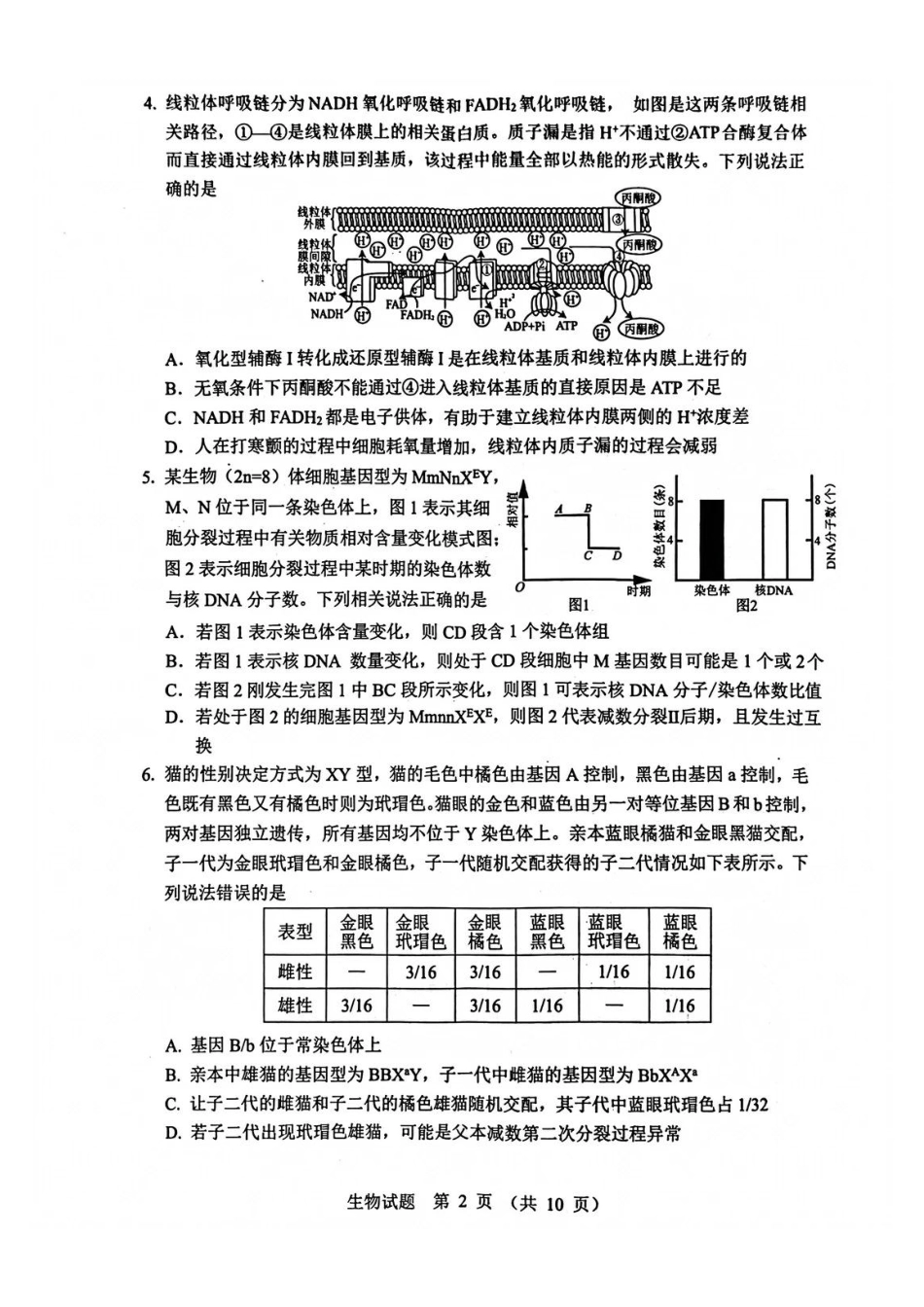 山东省实验中学2025-2026学年高三上学期第三次诊断性考试生物_生物试题.pdf_第2页