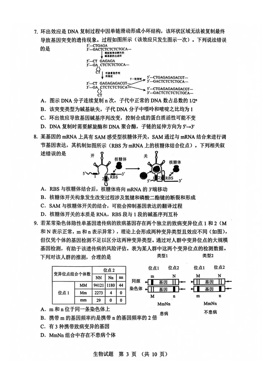 山东省实验中学2025-2026学年高三上学期第三次诊断性考试生物_生物试题.pdf_第3页