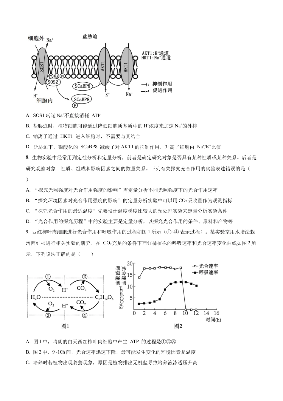 山东省实验中学2025—2026学年高三上学期第一次诊断性考试生物试题（学生版）.docx_第3页