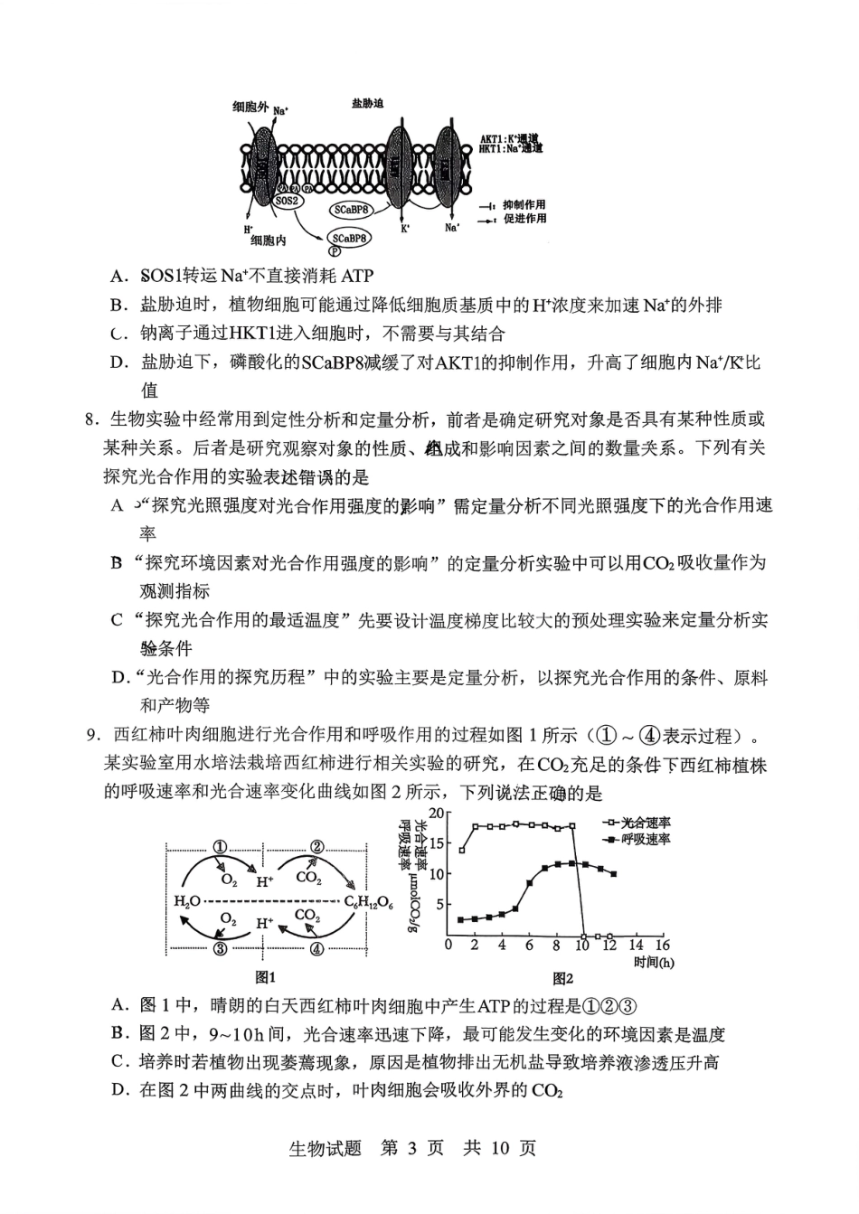 山东省实验中学2025—2026学年高三上学期第一次诊断性考试生物试题_生物试题.pdf_第3页