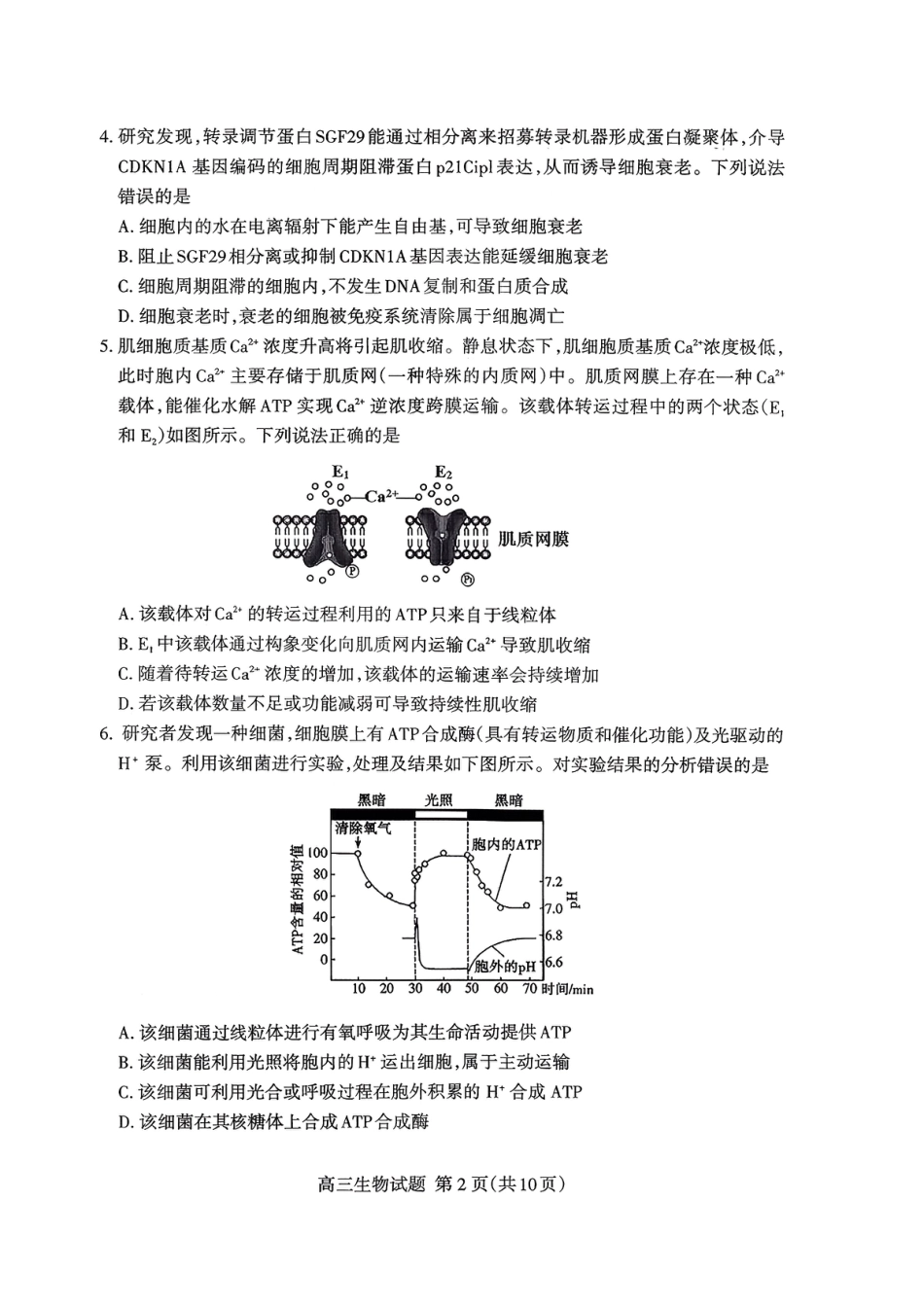 山东省泰安市2026届高三上学期期中考试生物.pdf_第2页